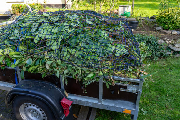 Best Electronics and E-Waste Disposal  in Shpee Neck, MA